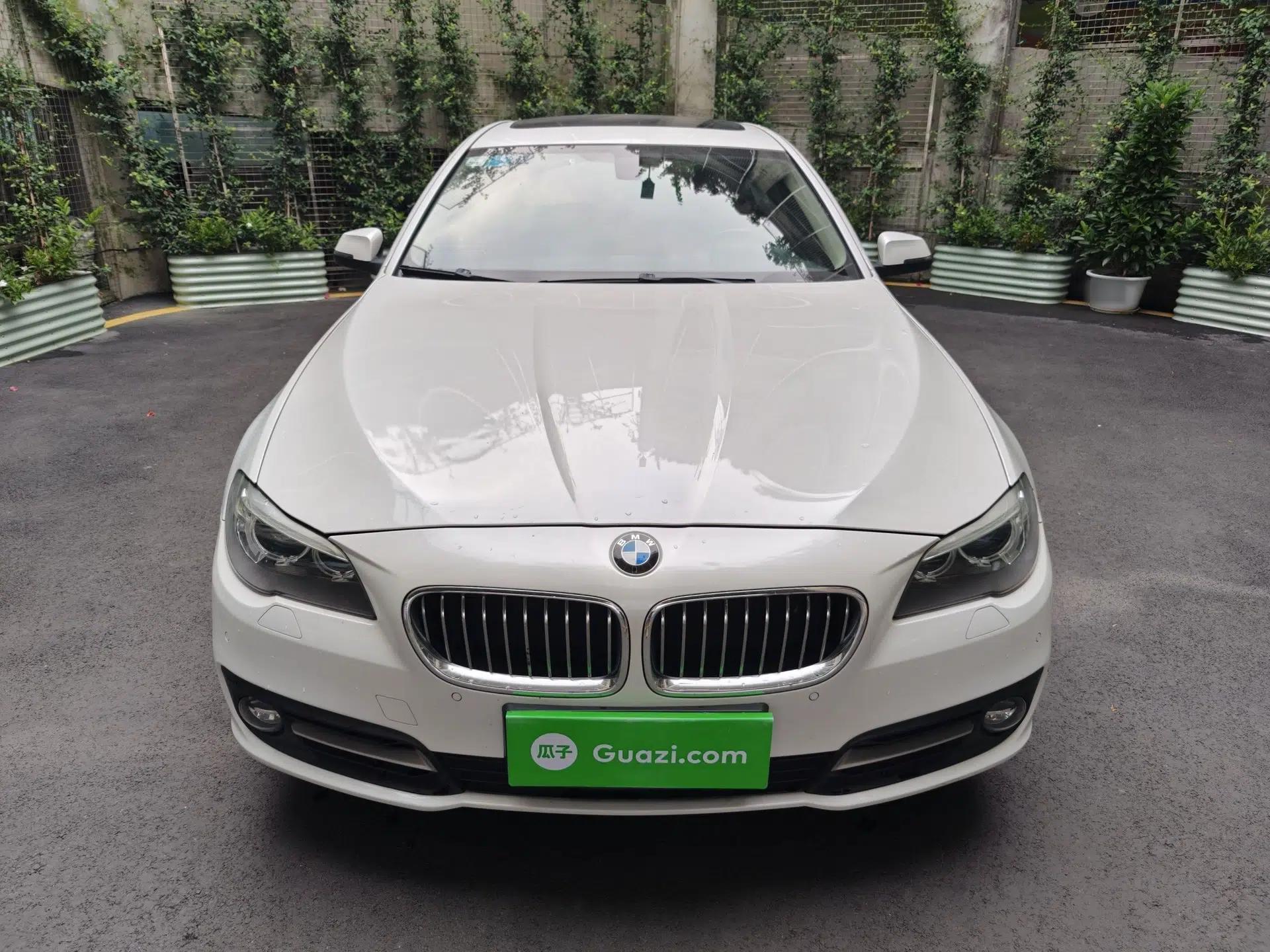 BMW 5 Series 2014 525Li Leading Model — миниатюра 15