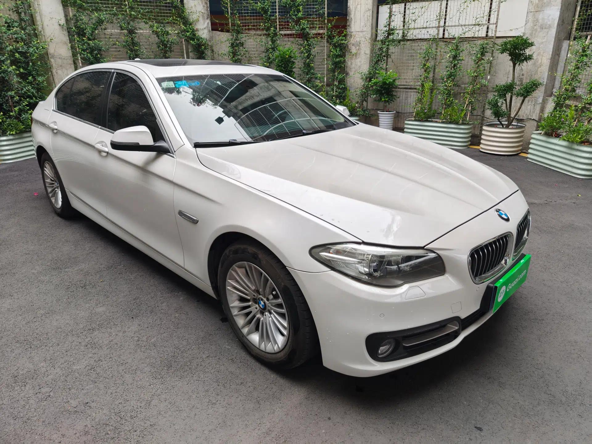 BMW 5 Series 2014 525Li Leading Model — миниатюра 16