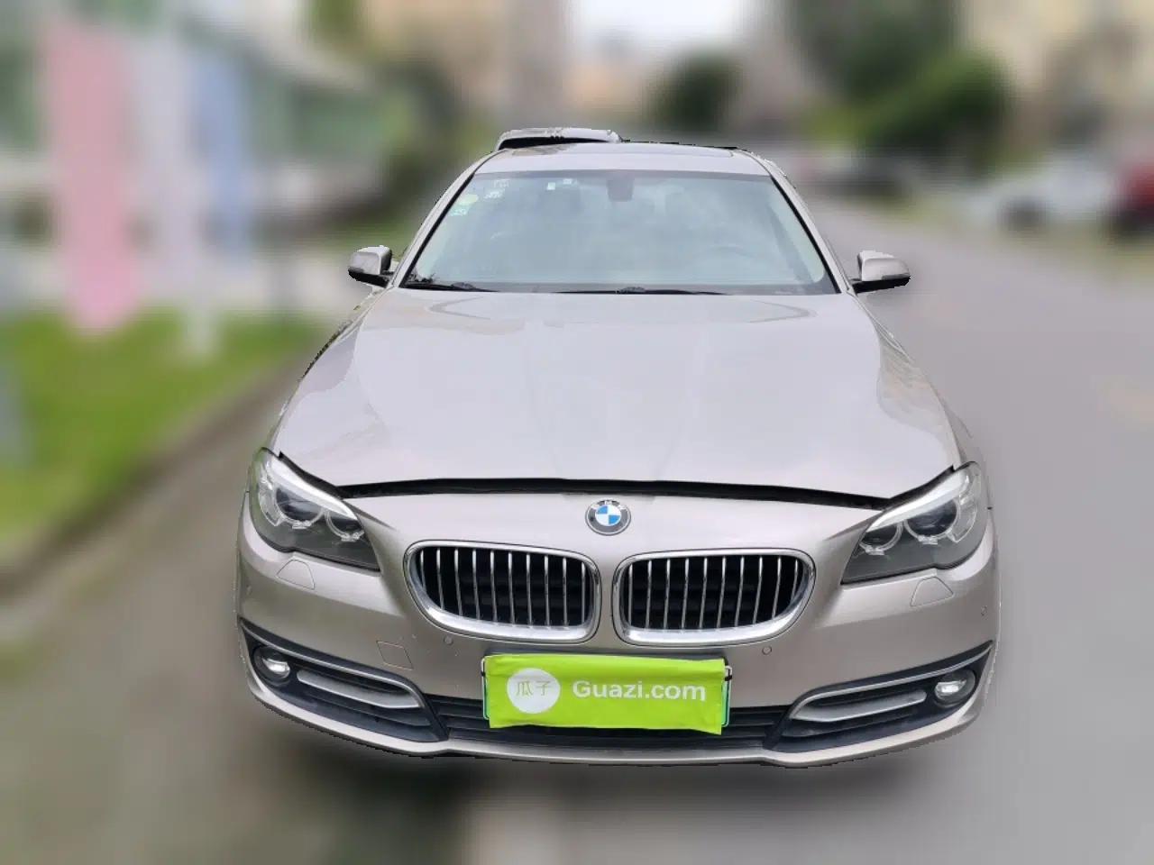 BMW 5 Series New Energy 2015 530Le — миниатюра 2