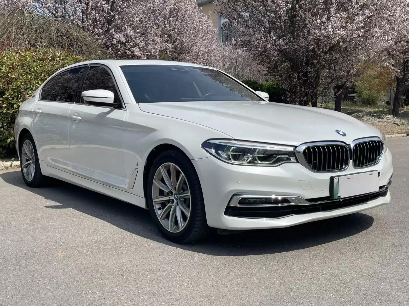 BMW 5 Series New Energy 2019 530Le Luxury Package — миниатюра 6