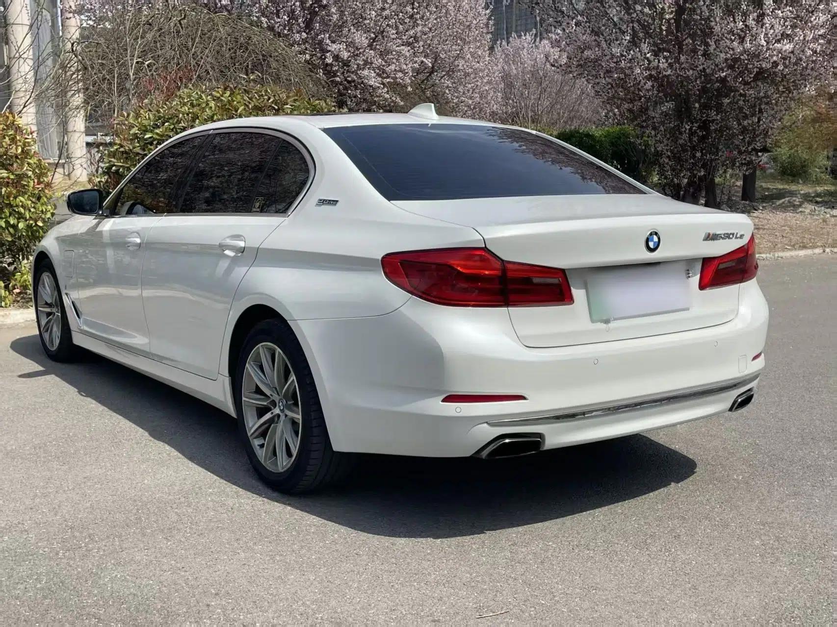 BMW 5 Series New Energy 2019 530Le Luxury Package — миниатюра 8
