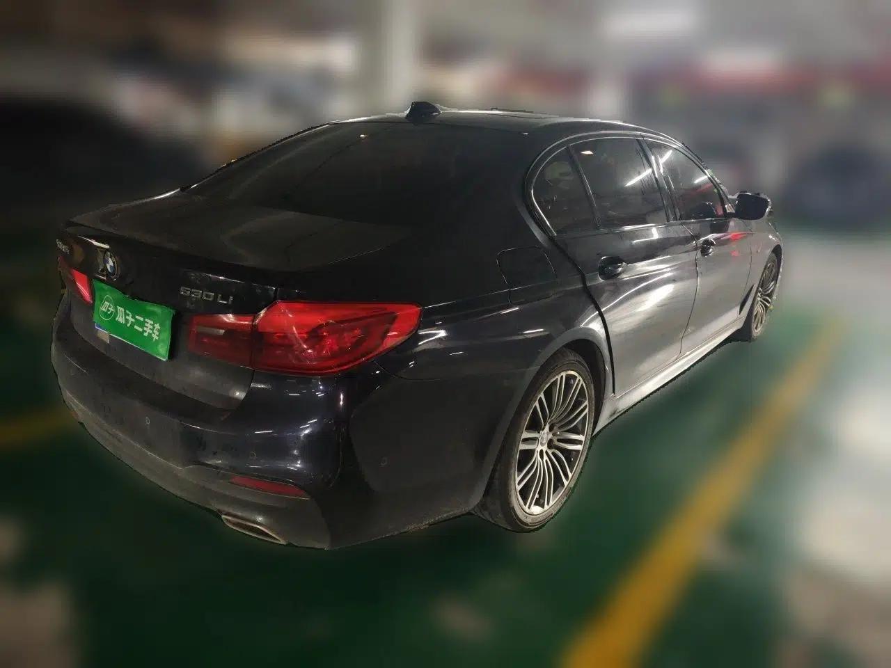 BMW 5 Series 2019 530Li Leading Model M Sport Package — миниатюра 6