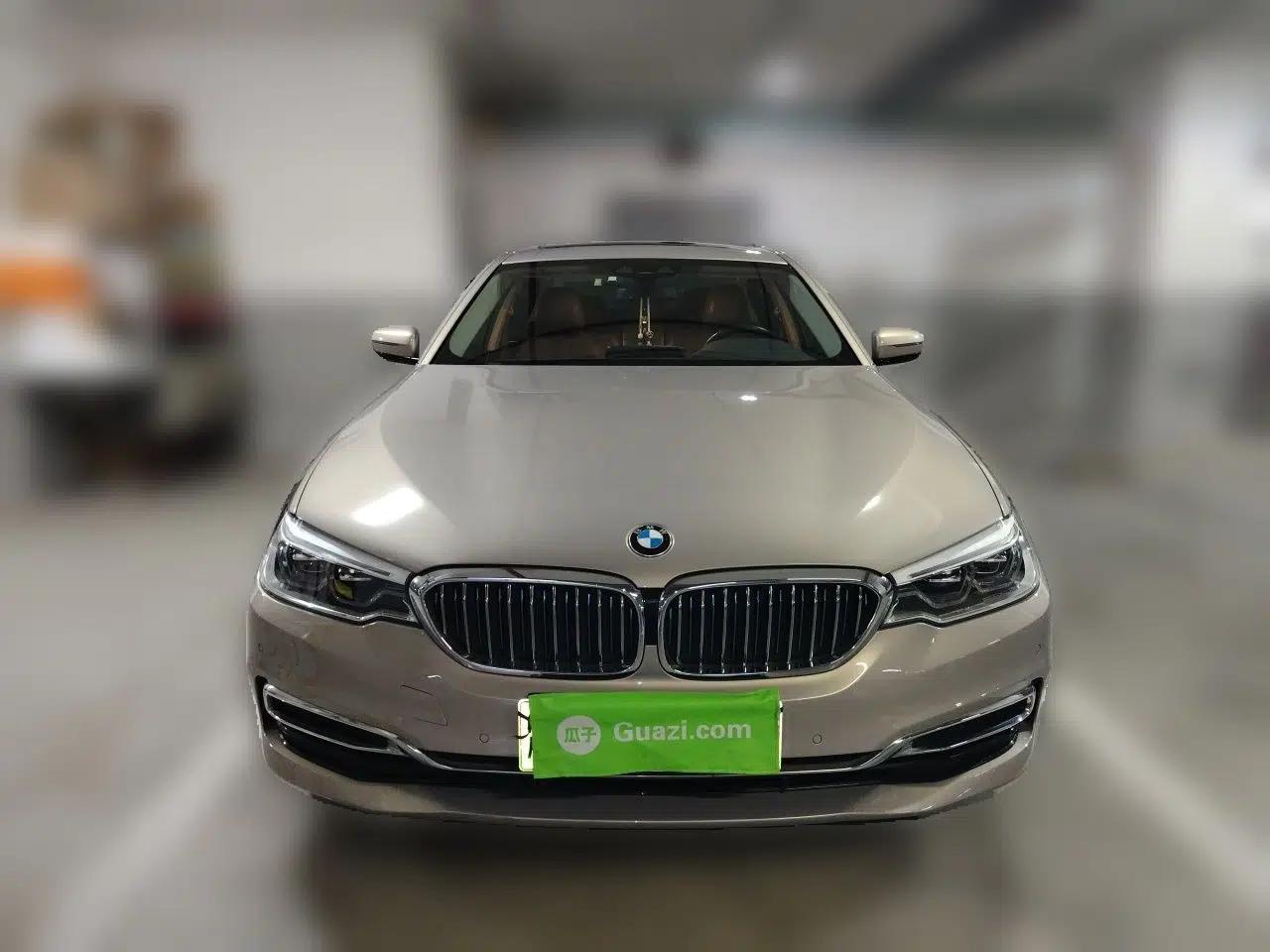 BMW 5 Series New Energy 2019 Updated Version 530Le Luxury Package — миниатюра 2