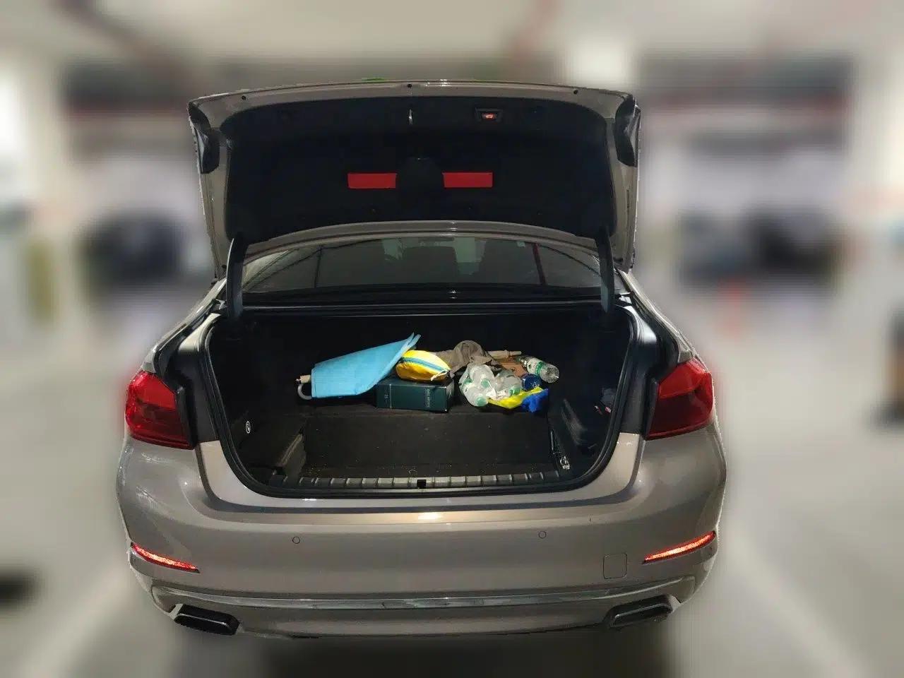 BMW 5 Series New Energy 2019 Updated Version 530Le Luxury Package — миниатюра 19
