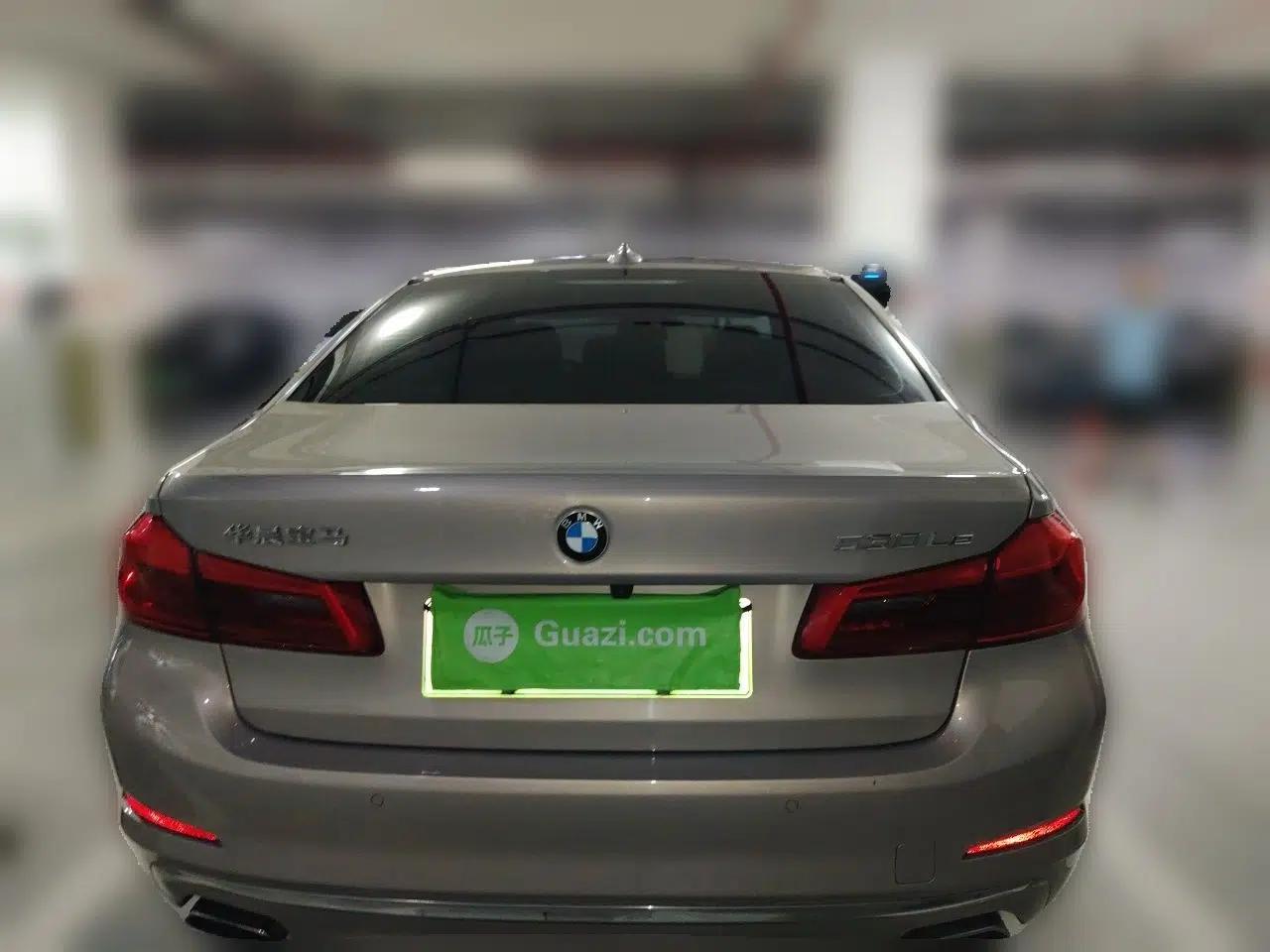 BMW 5 Series New Energy 2019 Updated Version 530Le Luxury Package — миниатюра 5