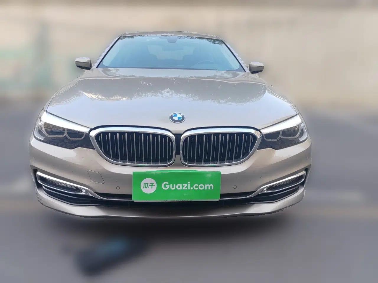 BMW 5 Series 2018 530Li xDrive Luxury Package — миниатюра 2