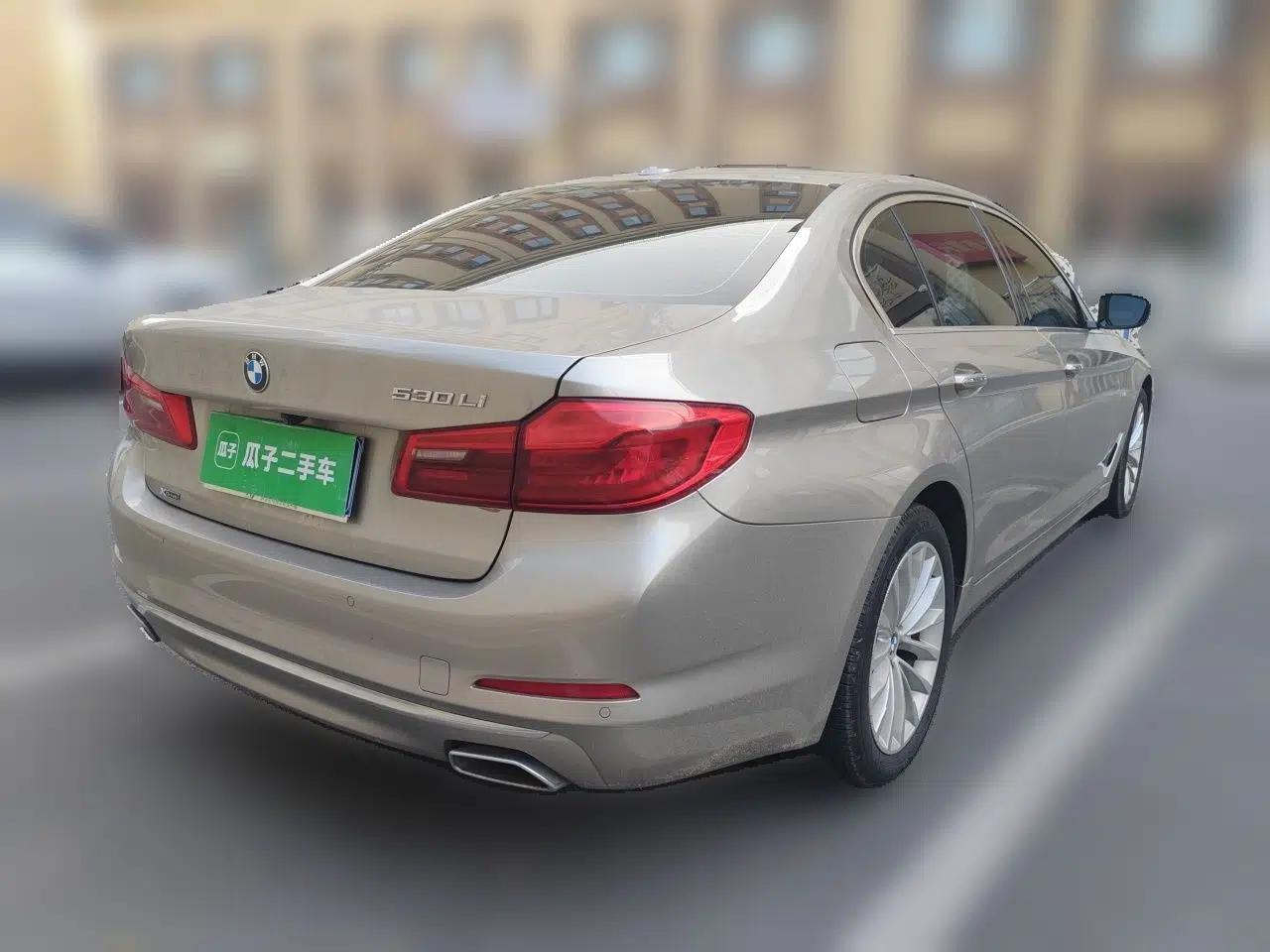 BMW 5 Series 2018 530Li xDrive Luxury Package — миниатюра 6