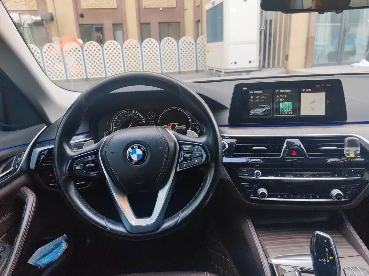 BMW 5 Series 2018 530Li xDrive Luxury Package — миниатюра 10