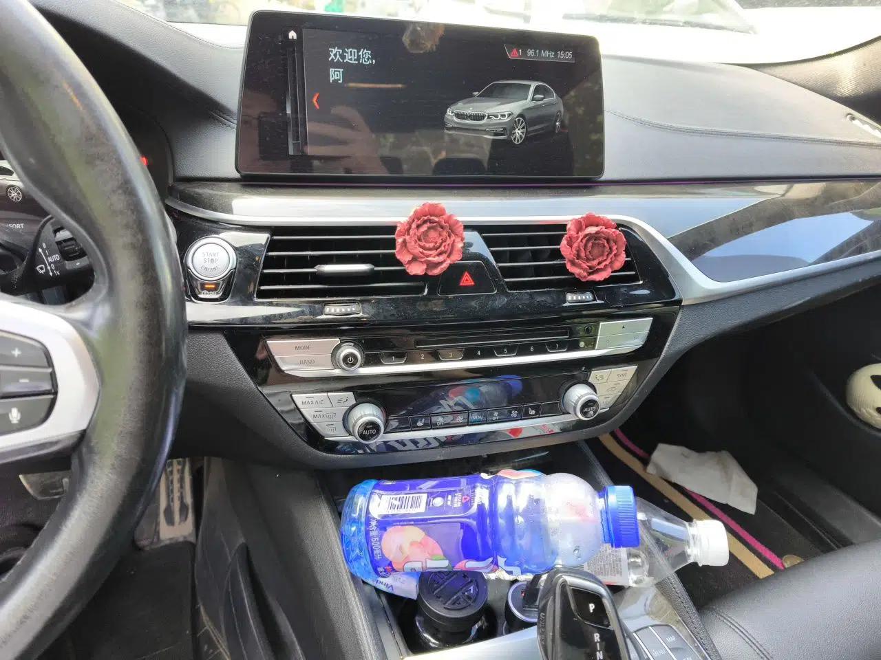 BMW 5 Series 2018 525Li M Sport Package — миниатюра 13