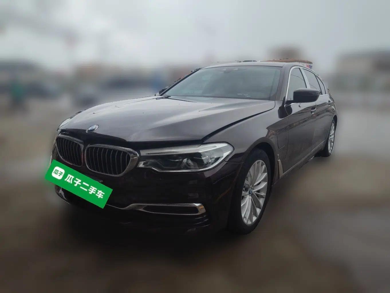 BMW 5 Series New Energy 2019 Updated Version 530Le Luxury Package — миниатюра 1