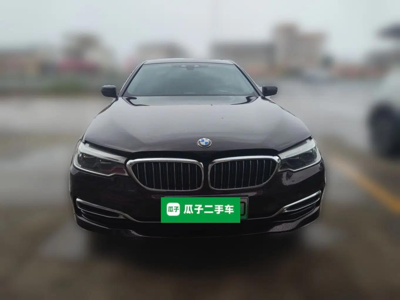 BMW 5 Series New Energy 2019 Updated Version 530Le Luxury Package — миниатюра 2