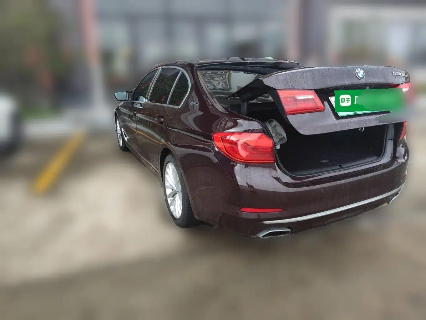 BMW 5 Series New Energy 2019 Updated Version 530Le Luxury Package — миниатюра 4