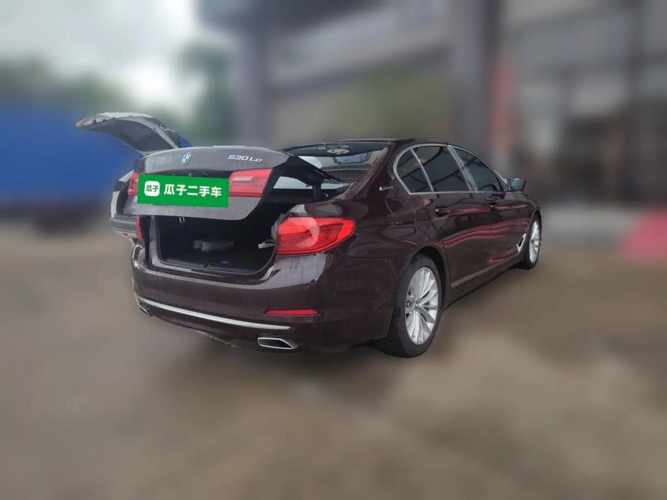 BMW 5 Series New Energy 2019 Updated Version 530Le Luxury Package — миниатюра 6