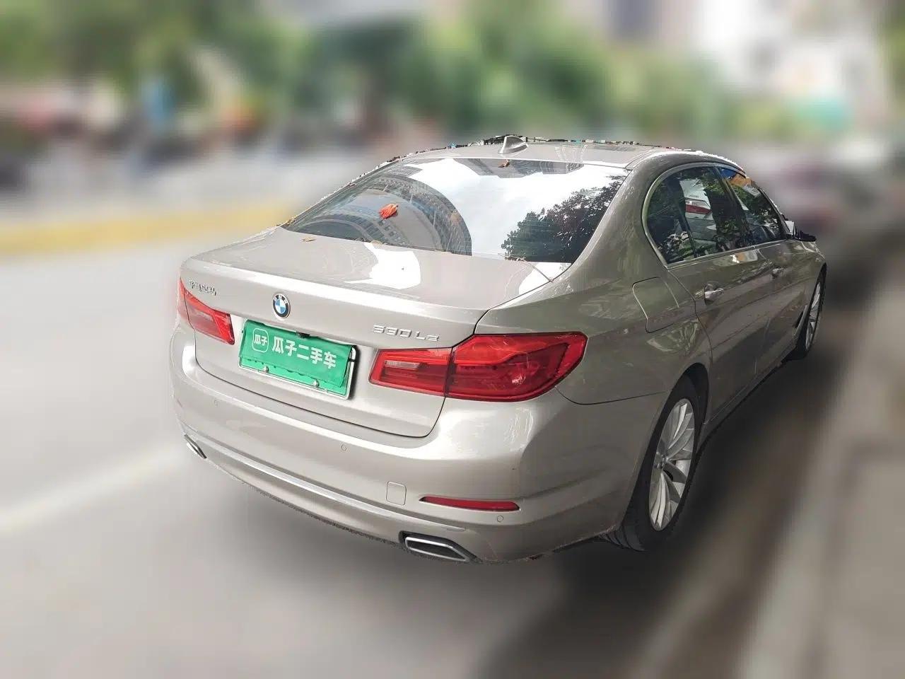 BMW 5 Series New Energy 2020 530Le Pioneer Edition — миниатюра 6