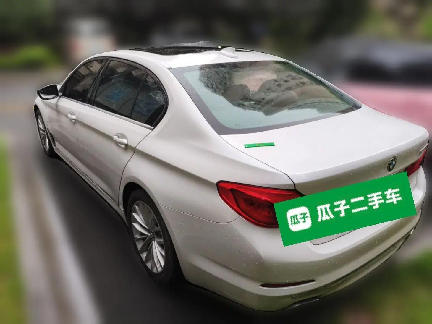 BMW 5 Series New Energy 2019 Updated Version 530Le Luxury Package — миниатюра 4