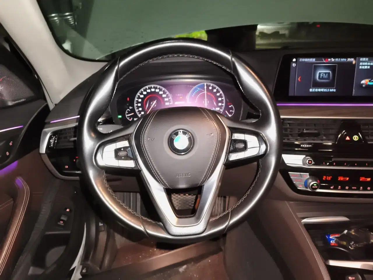 BMW 5 Series New Energy 2019 Updated Version 530Le Luxury Package — миниатюра 10