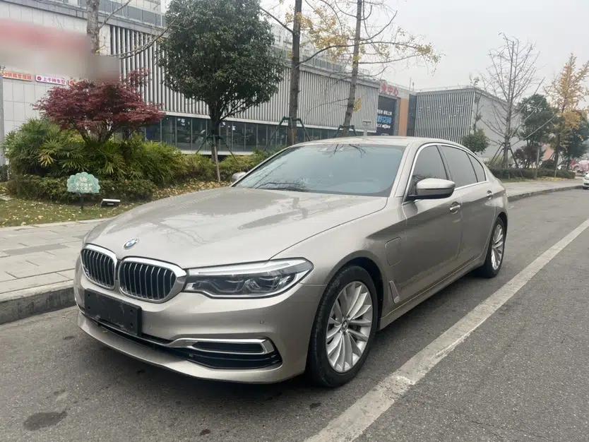 BMW 5 Series New Energy 2020 530Le Luxury Package — миниатюра 1