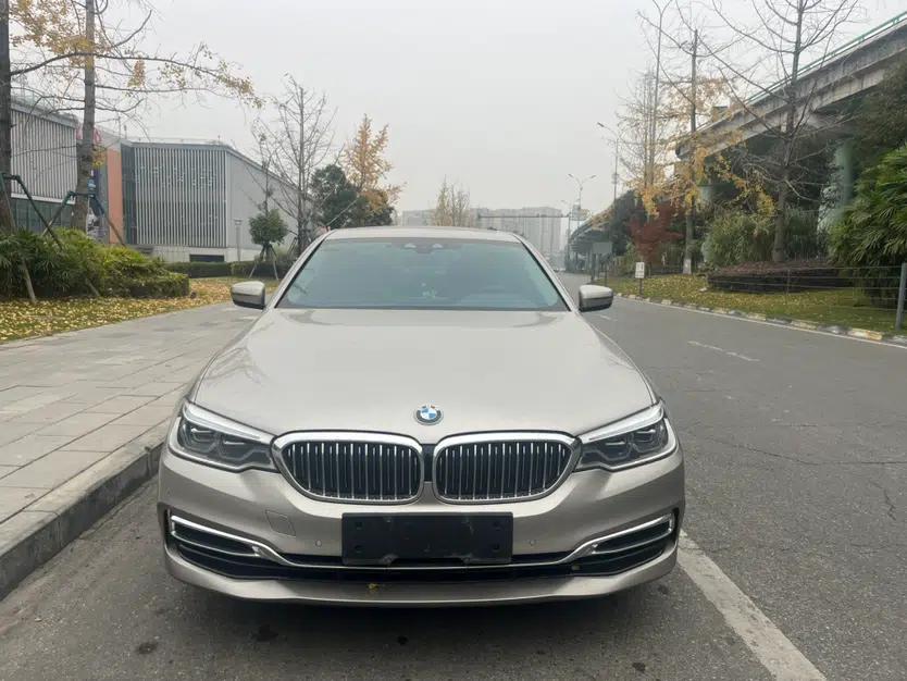 BMW 5 Series New Energy 2020 530Le Luxury Package — миниатюра 12