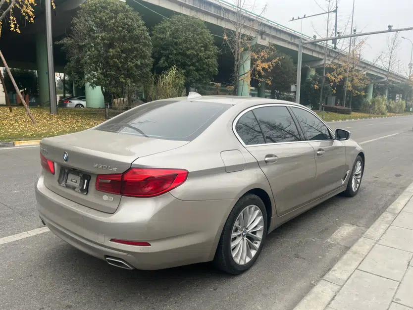 BMW 5 Series New Energy 2020 530Le Luxury Package — миниатюра 8