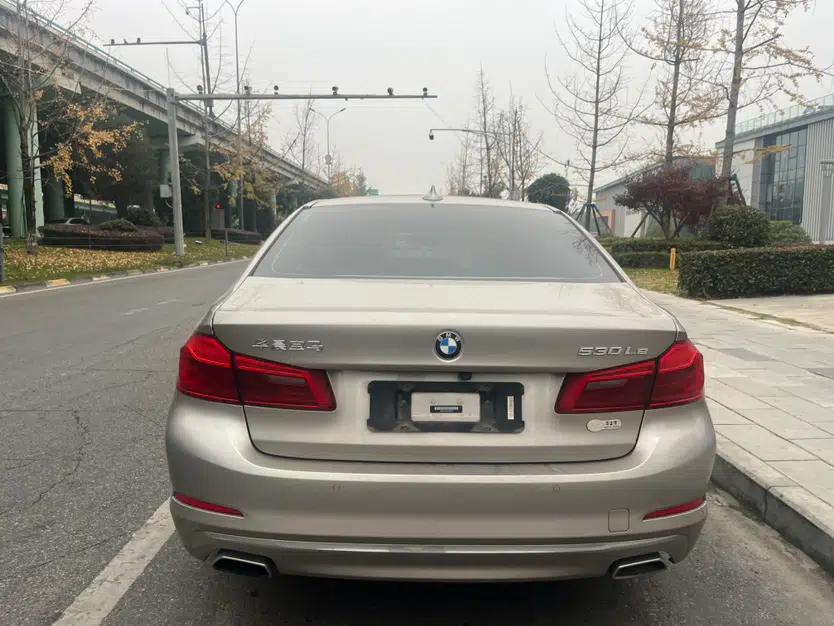 BMW 5 Series New Energy 2020 530Le Luxury Package — миниатюра 9