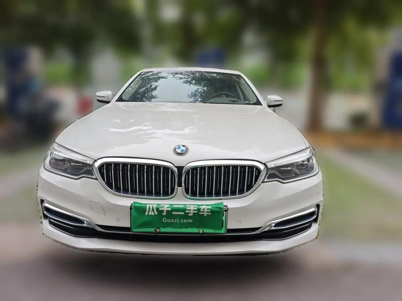 BMW 5 Series New Energy 2020 Mileage Upgrade Version 530Le Luxury Package — миниатюра 2