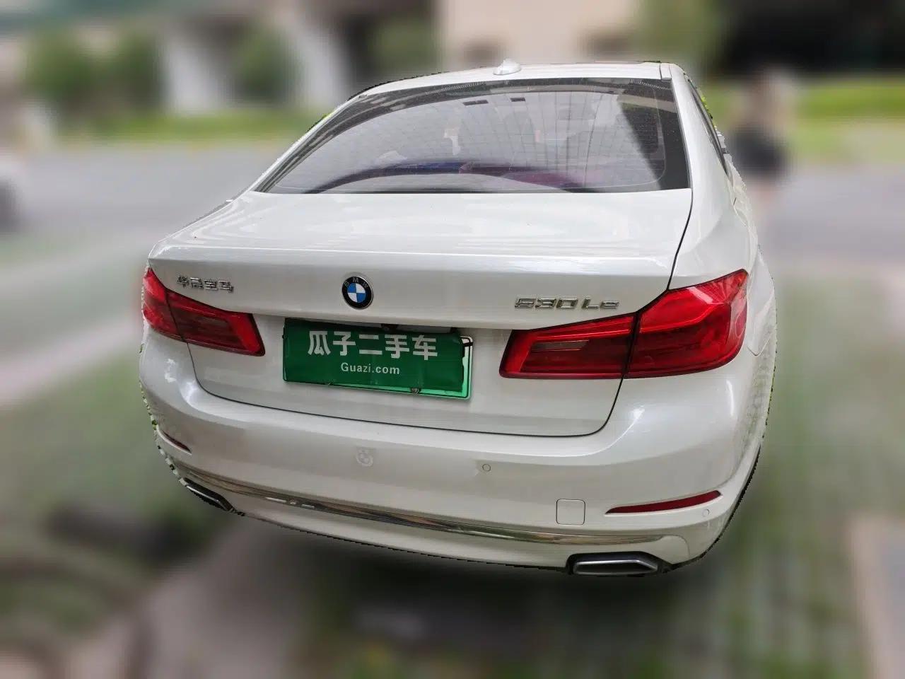 BMW 5 Series New Energy 2020 Mileage Upgrade Version 530Le Luxury Package — миниатюра 5