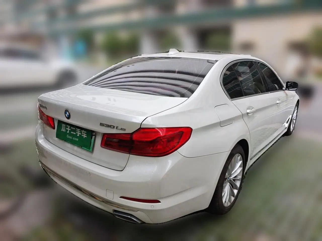 BMW 5 Series New Energy 2020 Mileage Upgrade Version 530Le Luxury Package — миниатюра 6