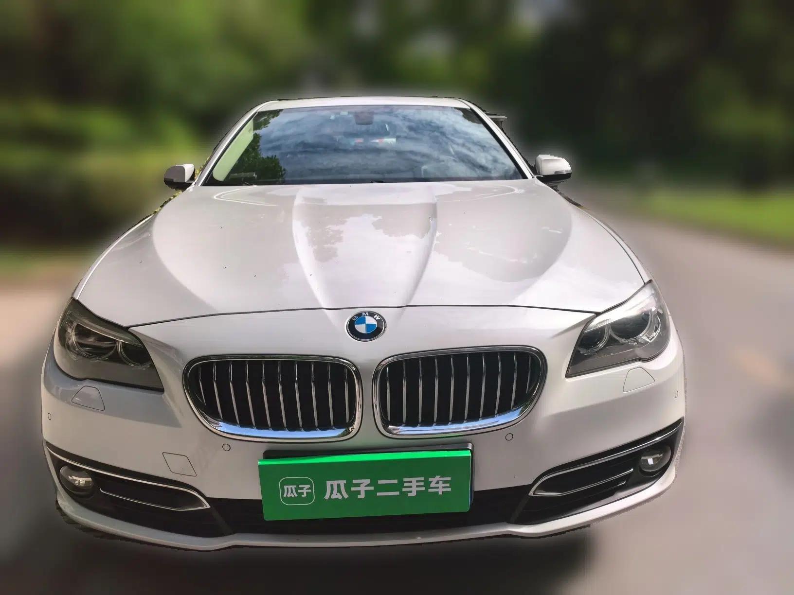 BMW 5 Series New Energy 2015 530Le — миниатюра 2