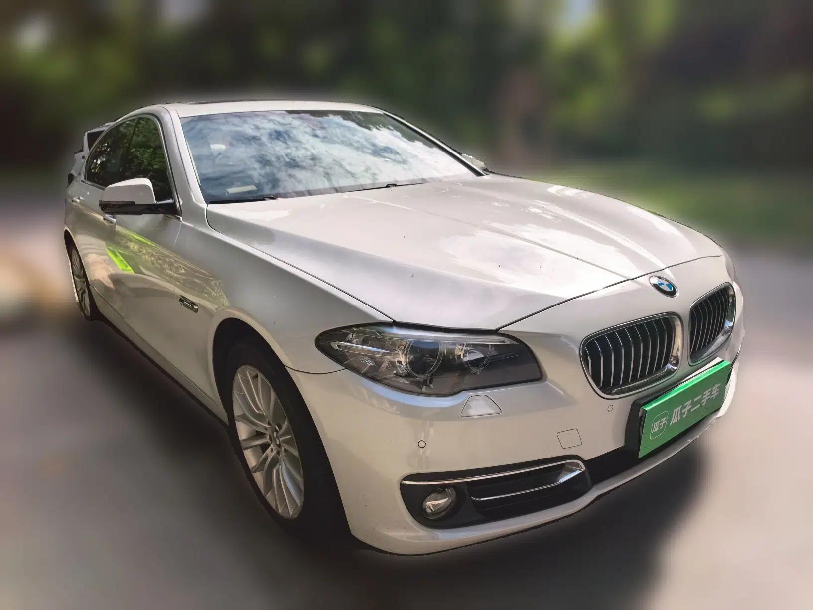 BMW 5 Series New Energy 2015 530Le — миниатюра 3