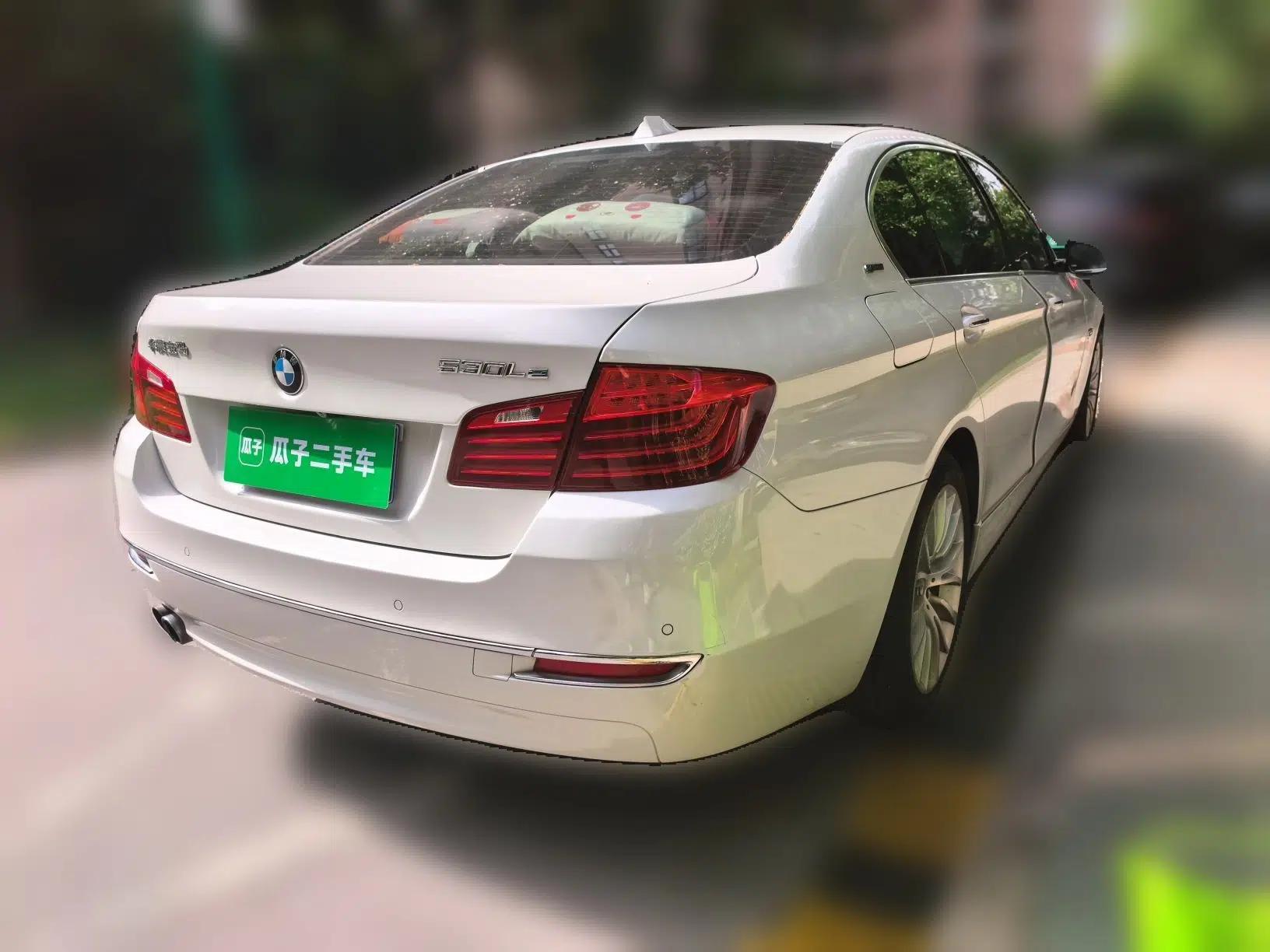 BMW 5 Series New Energy 2015 530Le — миниатюра 6