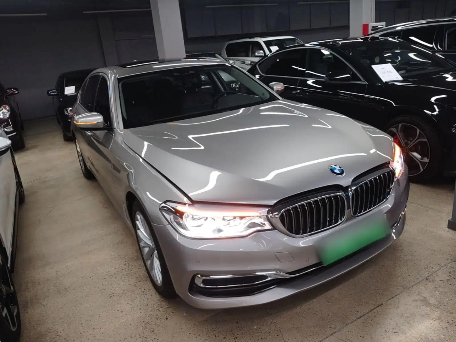 BMW 5 Series New Energy 2020 Mileage Upgrade Version 530Le Luxury Package — миниатюра 3