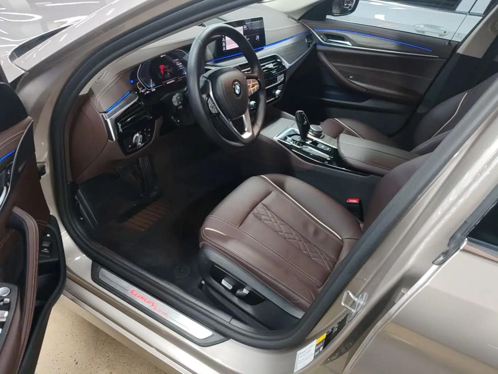 BMW 5 Series New Energy 2020 Mileage Upgrade Version 530Le Luxury Package — миниатюра 24