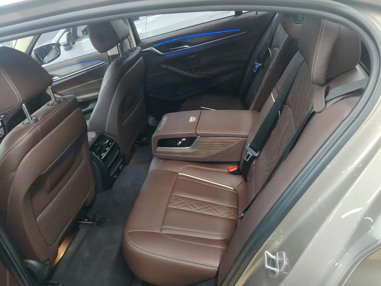 BMW 5 Series New Energy 2020 Mileage Upgrade Version 530Le Luxury Package — миниатюра 26