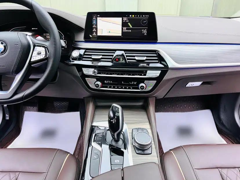 BMW 5 Series New Energy 2020 Mileage Upgrade Version 530Le Luxury Package — миниатюра 29