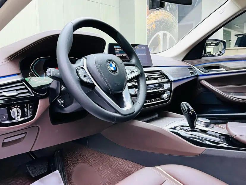 BMW 5 Series New Energy 2020 Mileage Upgrade Version 530Le Luxury Package — миниатюра 35