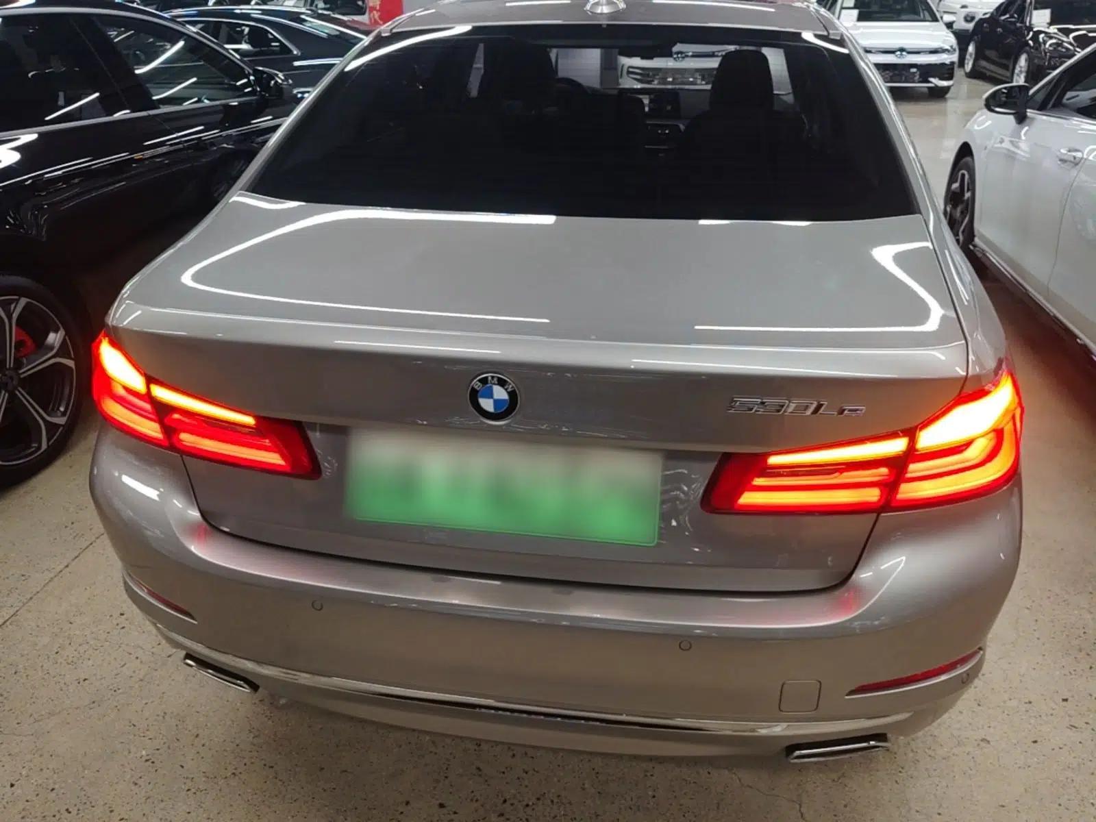 BMW 5 Series New Energy 2020 Mileage Upgrade Version 530Le Luxury Package — миниатюра 5