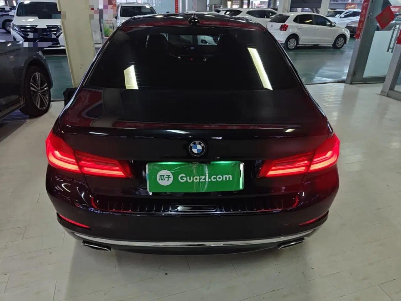 BMW 5 Series New Energy 2020 Mileage Upgrade Version 530Le Pioneer Edition — миниатюра 5