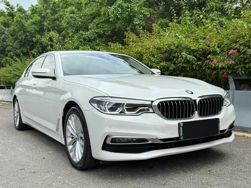 BMW 5 Series New Energy 2019 530Le Luxury Package — миниатюра 15