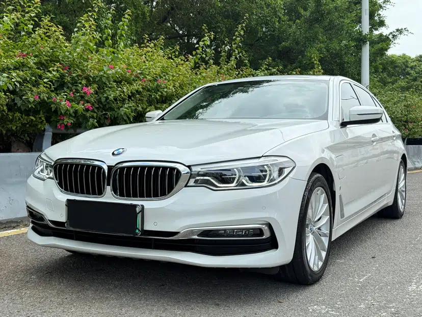 BMW 5 Series New Energy 2019 530Le Luxury Package — миниатюра 19