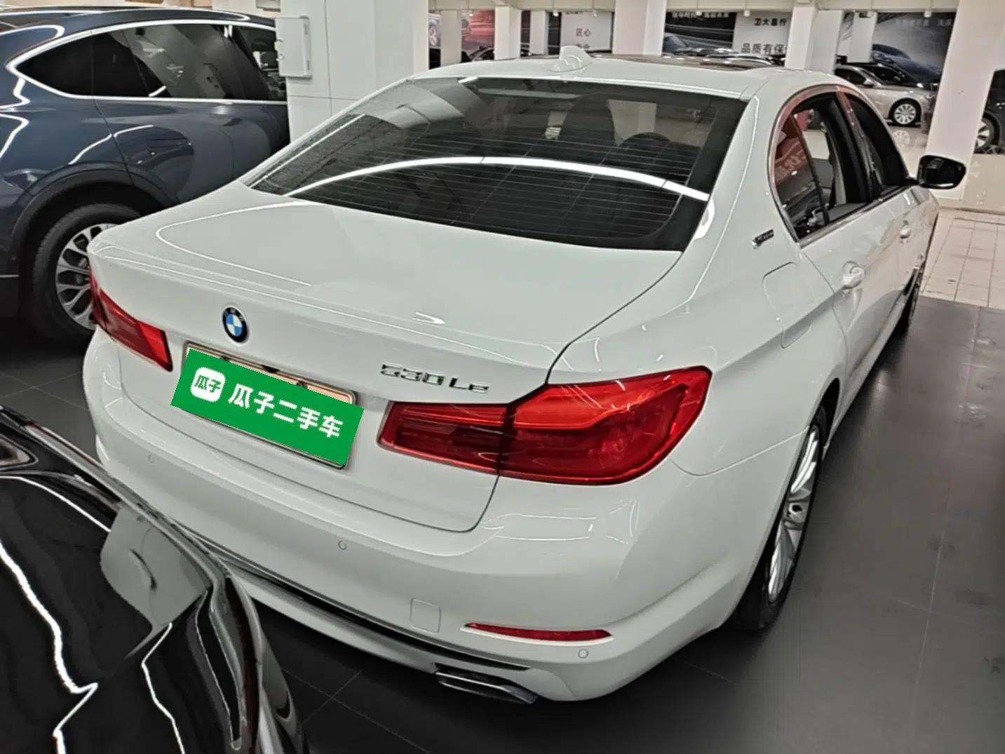 BMW 5 Series New Energy 2019 530Le Luxury Package — миниатюра 5