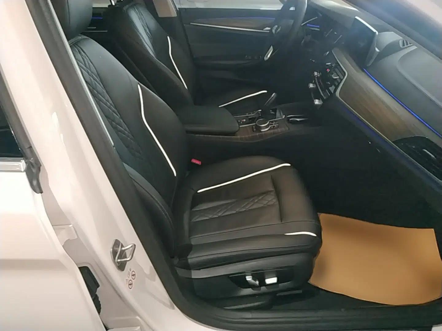 BMW 5 Series New Energy 2019 Updated Version 530Le Luxury Package — миниатюра 24