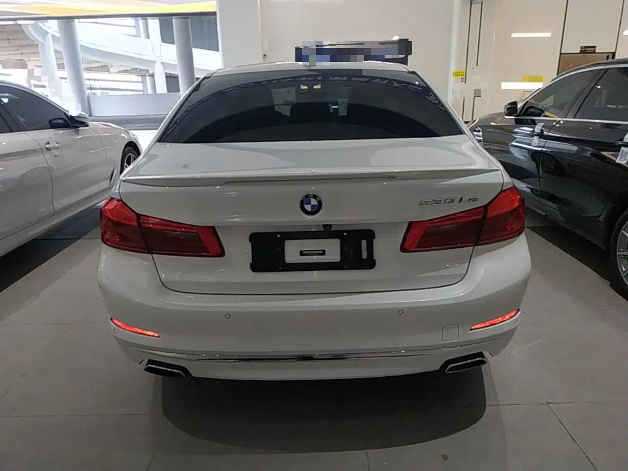 BMW 5 Series New Energy 2019 Updated Version 530Le Luxury Package — миниатюра 5