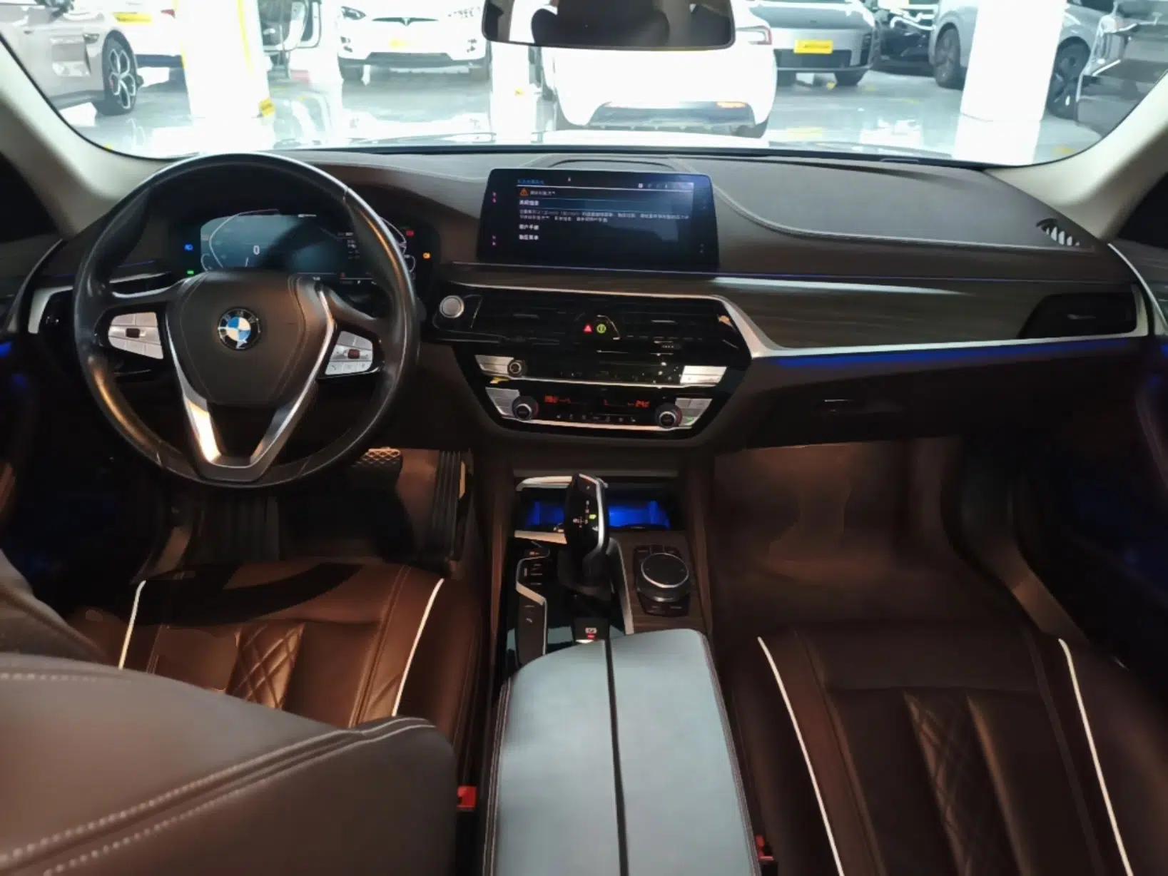 BMW 5 Series New Energy 2020 530Le Luxury Package — миниатюра 12