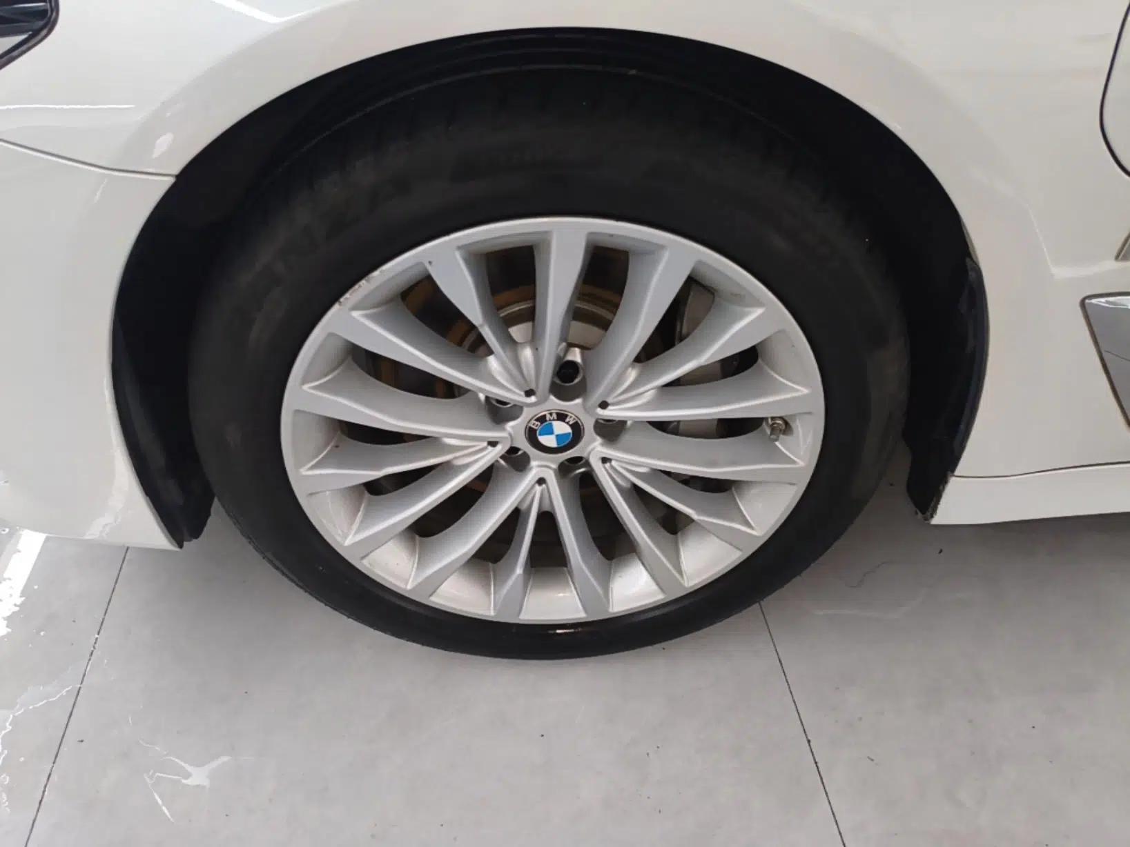 BMW 5 Series New Energy 2020 530Le Luxury Package — миниатюра 10