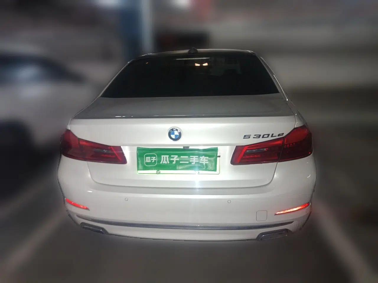 BMW 5 Series New Energy 2020 Mileage Upgrade Version 530Le Luxury Package — миниатюра 5