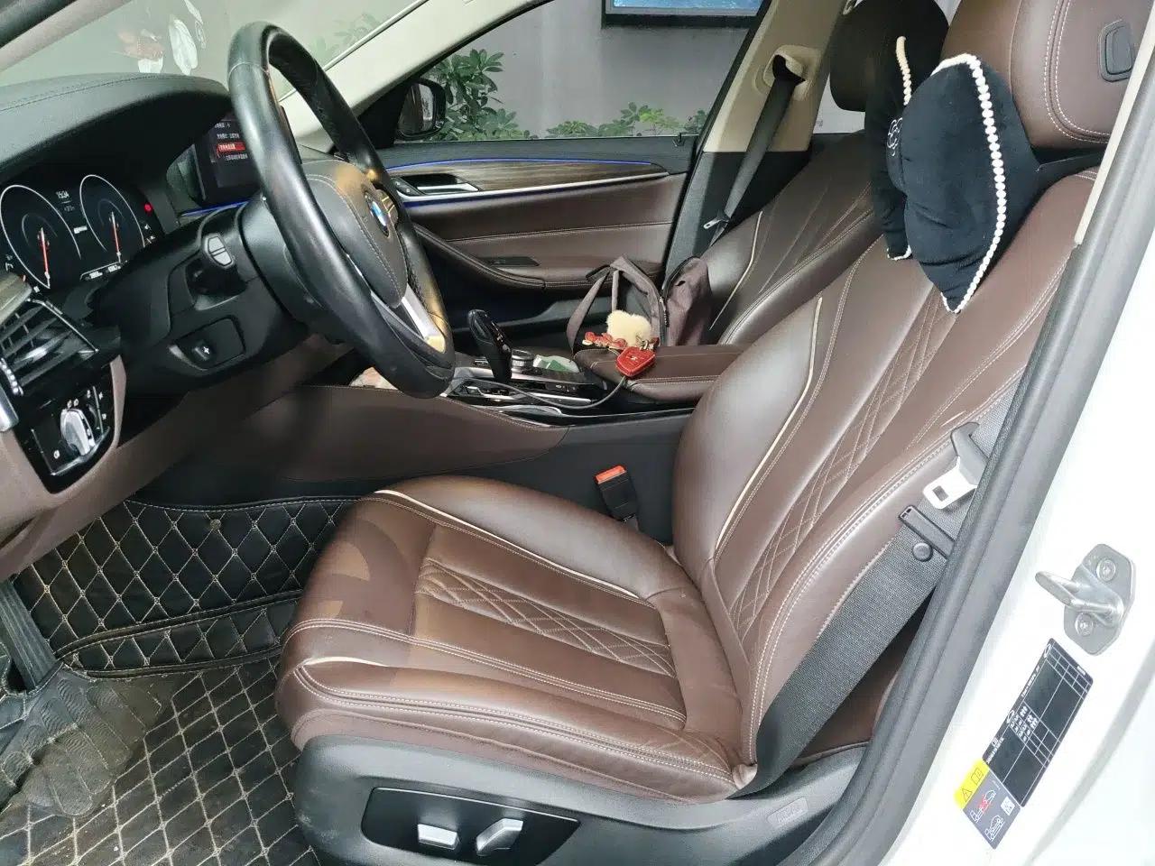 BMW 5 Series New Energy 2019 Updated Version 530Le Luxury Package — миниатюра 15