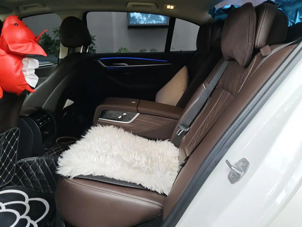 BMW 5 Series New Energy 2019 Updated Version 530Le Luxury Package — миниатюра 17