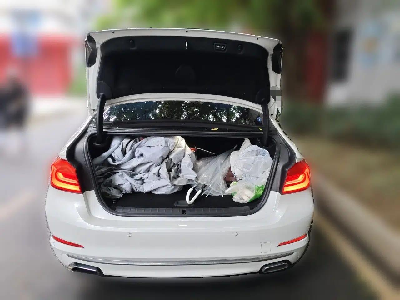 BMW 5 Series New Energy 2019 Updated Version 530Le Luxury Package — миниатюра 19