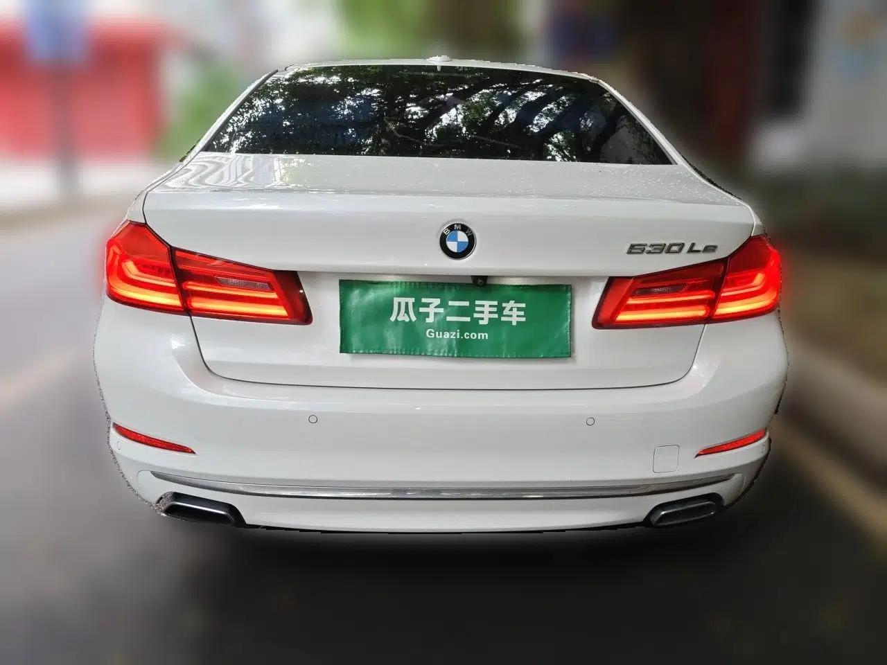 BMW 5 Series New Energy 2019 Updated Version 530Le Luxury Package — миниатюра 5