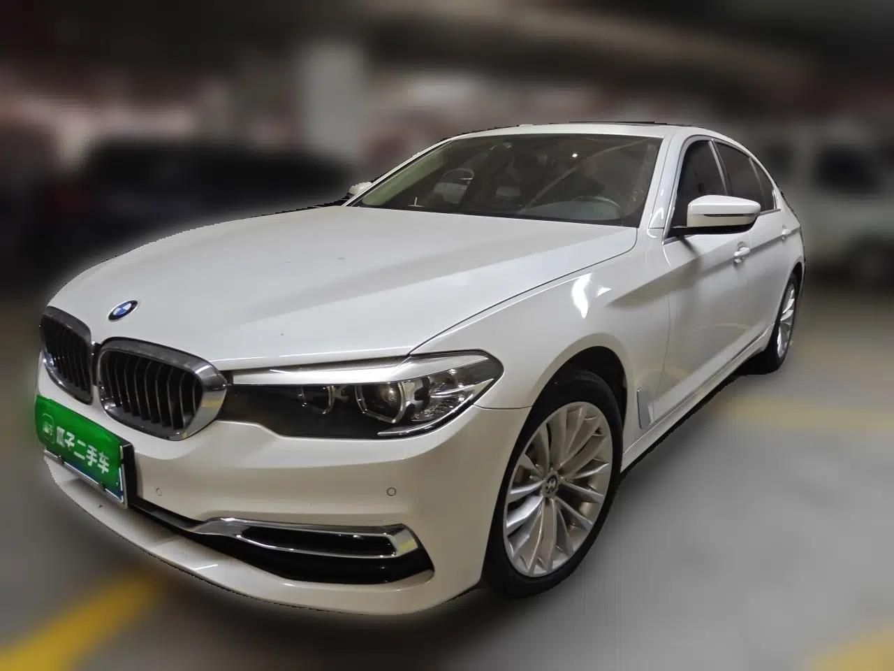 BMW 5 Series 2019 530Li Leading Model Luxury Package — миниатюра 1